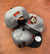 GORRA INFANTIL - FELIX THE CAT - GRIS X NEGRO