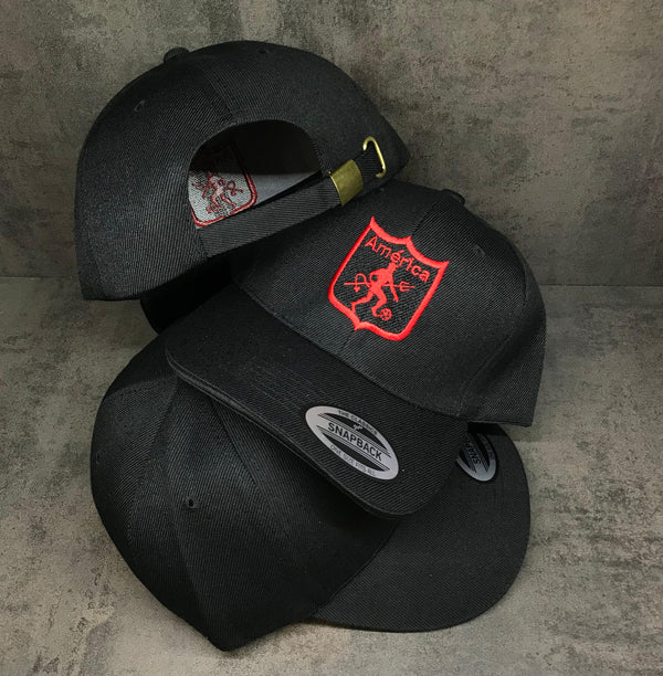 Gorra Acrilica AMERICA